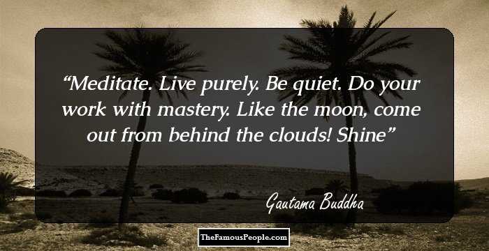 Meditate.
Live purely. Be quiet.
Do your work with mastery.
Like the moon, come out 
from behind the clouds!
Shine