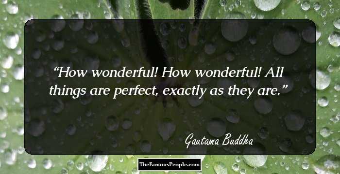 How wonderful! How wonderful! All things are perfect, exactly as they are.