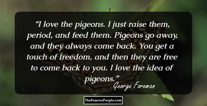 I love the pigeons. I just raise them, period, and feed them. Pigeons go away, and they always come back. You get a touch of freedom, and then they are free to come back to you. I love the idea of pigeons.