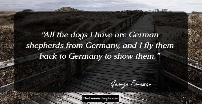 All the dogs I have are German shepherds from Germany, and I fly them back to Germany to show them.