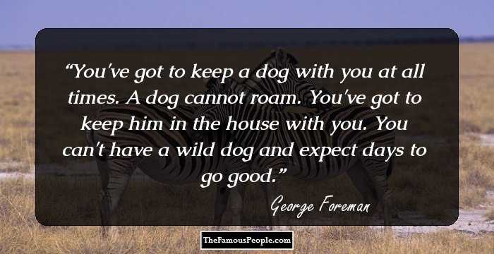 You've got to keep a dog with you at all times. A dog cannot roam. You've got to keep him in the house with you. You can't have a wild dog and expect days to go good.