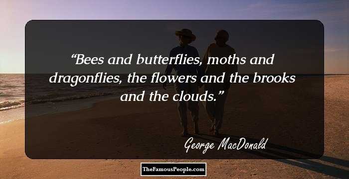 Bees and butterflies, moths and dragonflies, the flowers and the brooks and the clouds.