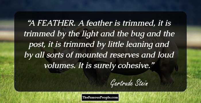 A FEATHER.

A feather is trimmed, it is trimmed by the light and the bug and the post, it is trimmed by little leaning and by all sorts of mounted reserves and loud volumes. It is surely cohesive.