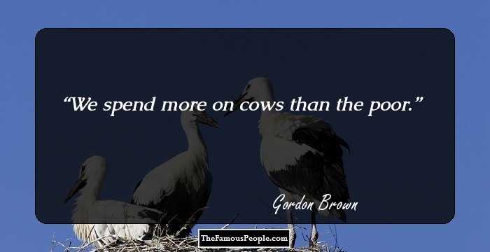 We spend more on cows than the poor.