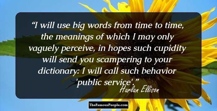 I will use big words from time to time, the meanings of which I may only vaguely perceive, in hopes such cupidity will send you scampering to your dictionary: I will call such behavior 'public service'.