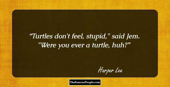 Turtles don't feel, stupid,