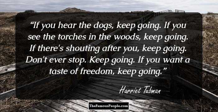 If you hear the dogs, keep going. If you see the torches in the woods, keep going. If there's shouting after you, keep going. Don't ever stop. Keep going. If you want a taste of freedom, keep going.