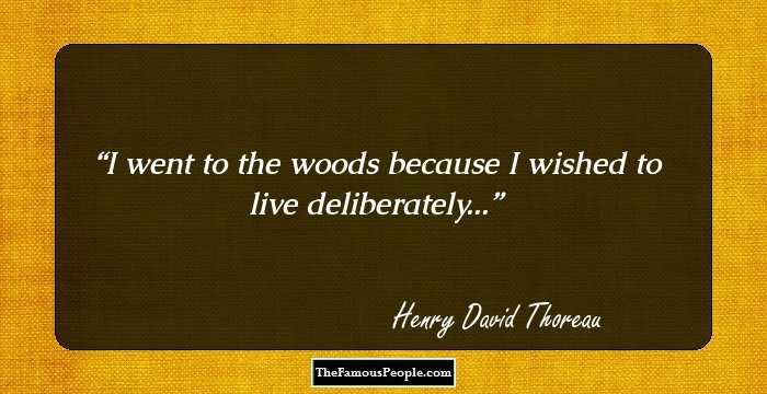 I went to the woods because I wished to live deliberately...