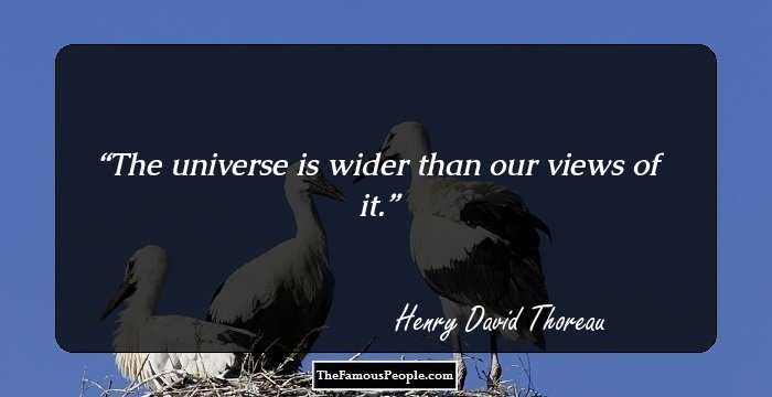 The universe is wider than our views of it.