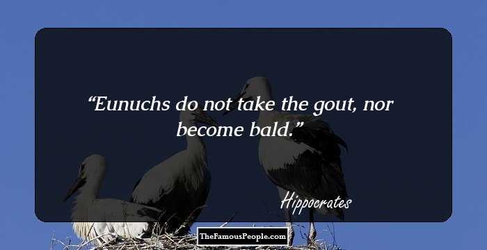 Eunuchs do not take the gout, nor become bald.