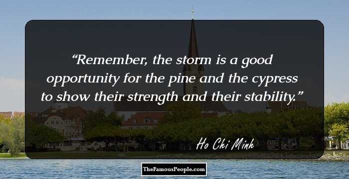 Remember, the storm is a good opportunity for the pine and the cypress to show their strength and their stability.