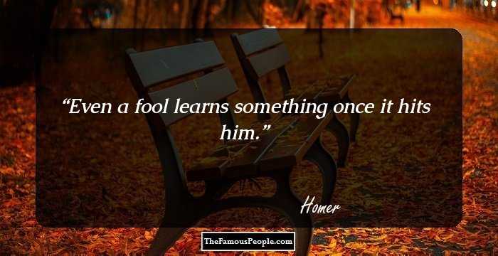 Even a fool learns something once it hits him.