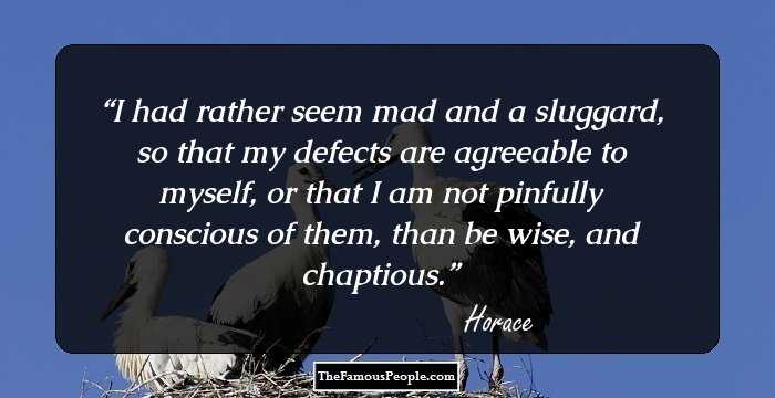 I had rather seem mad and a sluggard, so that my defects are agreeable to myself, or that I am not pinfully conscious of them, than be wise, and chaptious.