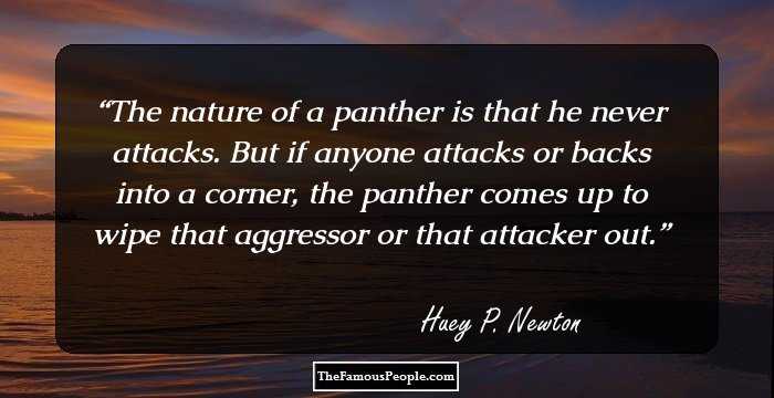The nature of a panther is that he never attacks. But if anyone attacks or backs into a corner, the panther comes up to wipe that aggressor or that attacker out.