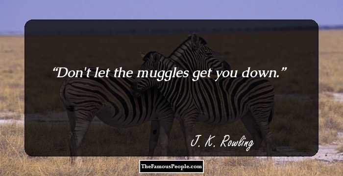 Don't let the muggles get you down.
