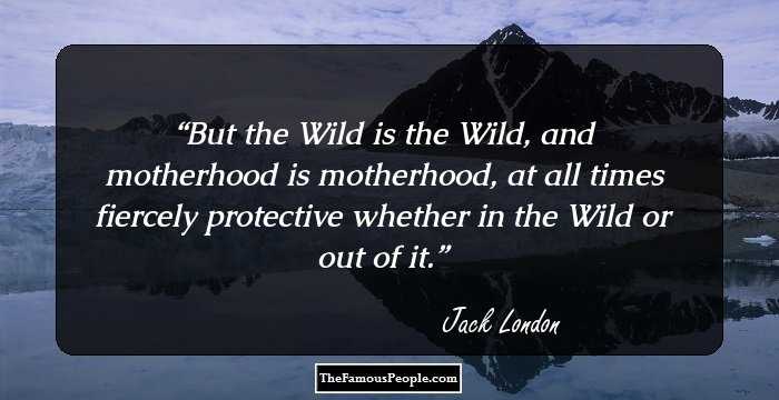 But the Wild is the Wild, and motherhood is motherhood, at all times fiercely protective whether in the Wild or out of it.