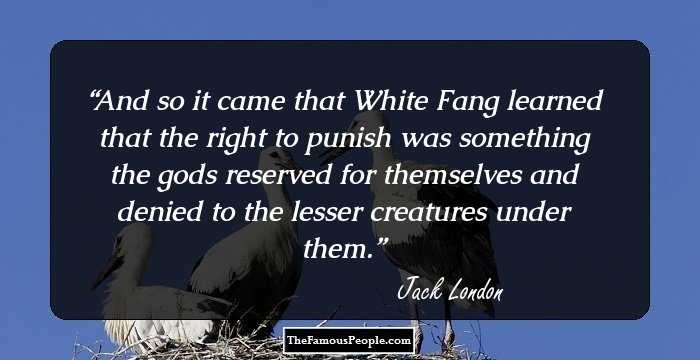 And so it came that White Fang learned that the right to punish was something the gods reserved for themselves and denied to the lesser creatures under them.