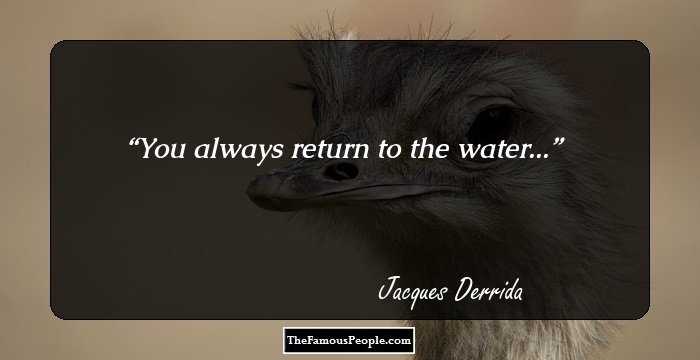 You always return to the water...