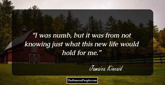 I was numb, but it was from not knowing just what this new life would hold for me.