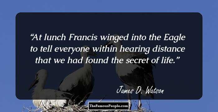 At lunch Francis winged into the Eagle to tell everyone within hearing distance that we had found the secret of life.