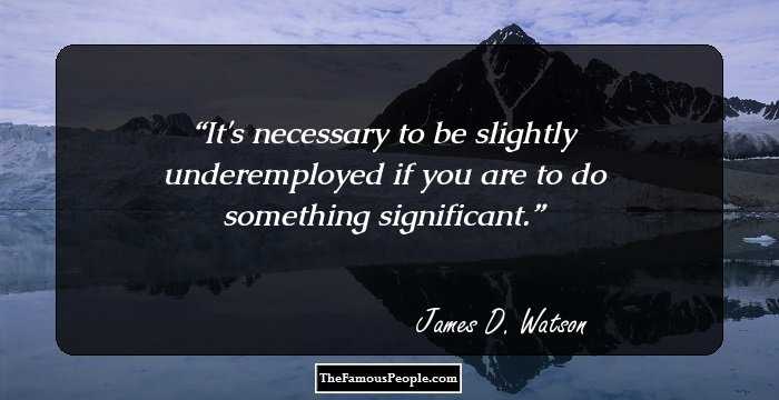 It's necessary to be slightly underemployed if you are to do something significant.