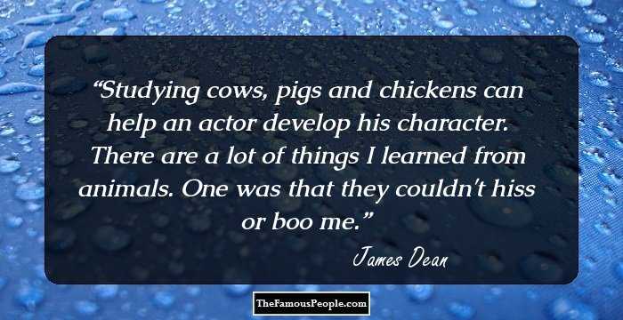 Studying cows, pigs and chickens can help an actor develop his character. There are a lot of things I learned from animals. One was that they couldn't hiss or boo me.