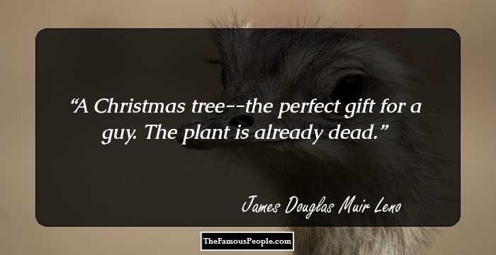 A Christmas tree--the perfect gift for a guy. The plant is already dead.