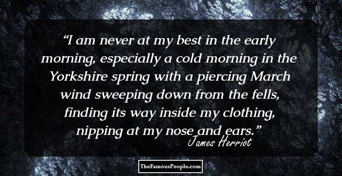 I am never at my best in the early morning, especially a cold morning in the Yorkshire spring with a piercing March wind sweeping down from the fells, finding its way inside my clothing, nipping at my nose and ears.
