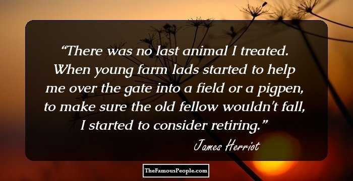 There was no last animal I treated. When young farm lads started to help me over the gate into a field or a pigpen, to make sure the old fellow wouldn't fall, I started to consider retiring.