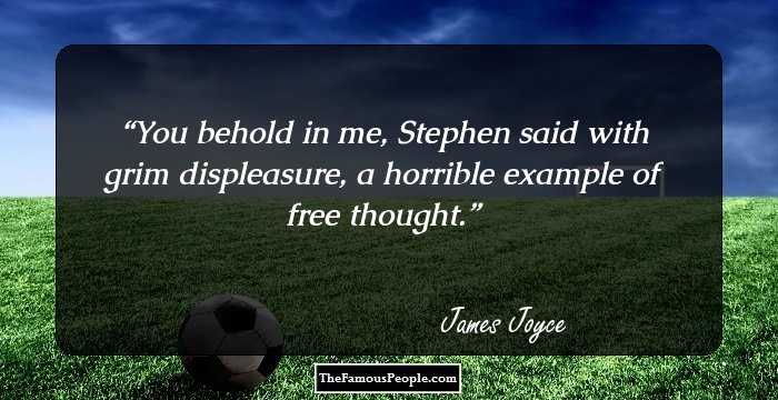 You behold in me, Stephen said with grim displeasure, a horrible example of free thought.