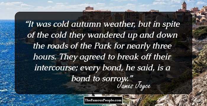 It was cold autumn weather, but in spite of the cold they wandered up and down the roads of the Park for nearly three hours. They agreed to break off their intercourse; every bond, he said, is a bond to sorrow.