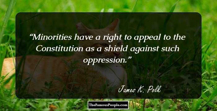 Minorities have a right to appeal to the Constitution as a shield against such oppression.