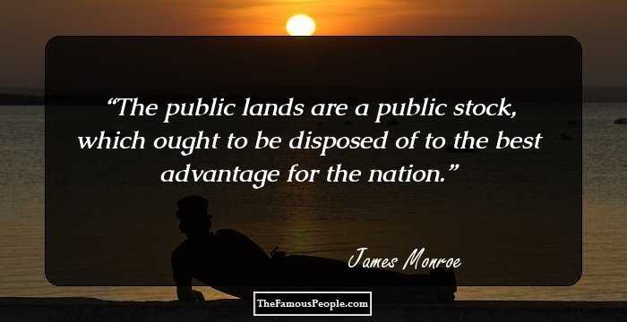 The public lands are a public stock, which ought to be disposed of to the best advantage for the nation.