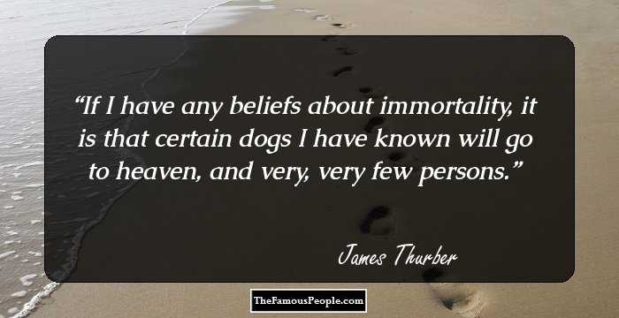 If I have any beliefs about immortality, it is that certain dogs I have known will go to heaven, and very, very few persons.