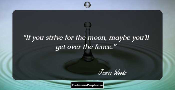 If you strive for the moon, maybe you'll get over the fence.