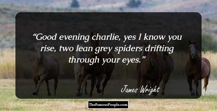 Good evening charlie, yes I know you rise, two lean grey spiders drifting through your eyes.