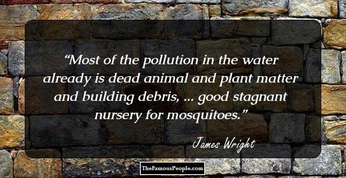Most of the pollution in the water already is dead animal and plant matter and building debris, ... good stagnant nursery for mosquitoes.