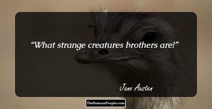What strange creatures brothers are!
