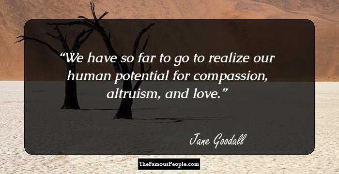 We have so far to go to realize our human potential for compassion, altruism, and love.
