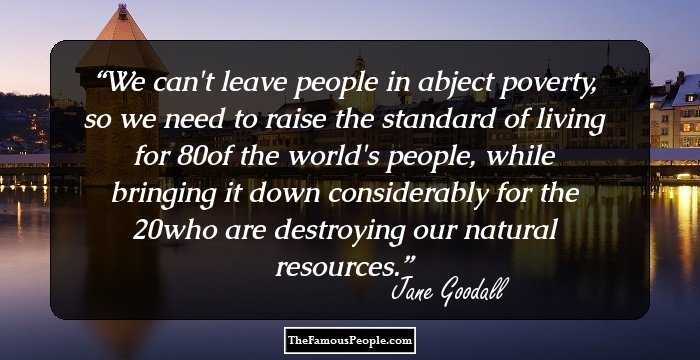 We can't leave people in abject poverty, so we need to raise the standard of living for 80% of the world's people, while bringing it down considerably for the 20% who are destroying our natural resources.