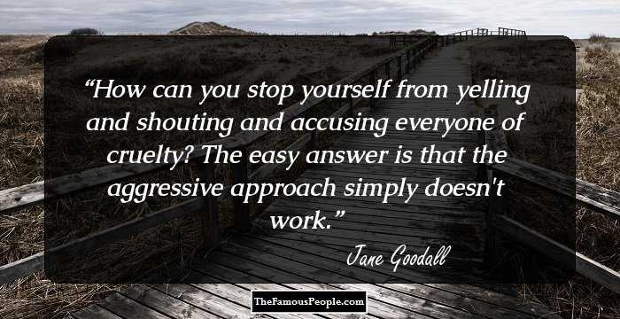 How can you stop yourself from yelling and shouting and accusing everyone of cruelty? The easy answer is that the aggressive approach simply doesn't work.
