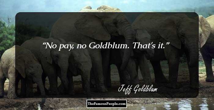 No pay, no Goldblum. That's it.
