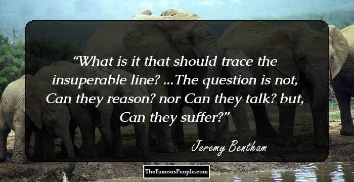 What is it that should trace the insuperable line? ...The question is not, Can they reason? nor Can they talk? but, Can they suffer?