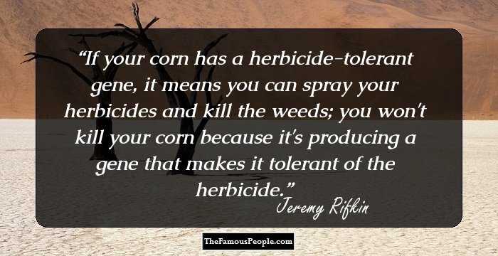 If your corn has a herbicide-tolerant gene, it means you can spray your herbicides and kill the weeds; you won't kill your corn because it's producing a gene that makes it tolerant of the herbicide.