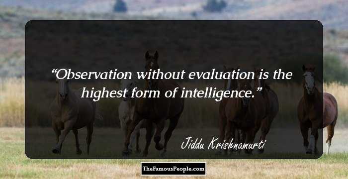 Observation without evaluation is the highest form of intelligence.