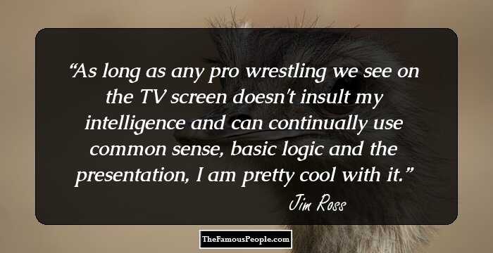 As long as any pro wrestling we see on the TV screen doesn't insult my intelligence and can continually use common sense, basic logic and the presentation, I am pretty cool with it.