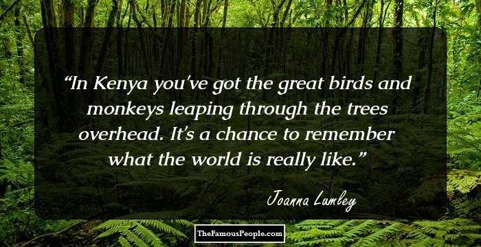 In Kenya you've got the great birds and monkeys leaping through the trees overhead. It's a chance to remember what the world is really like.