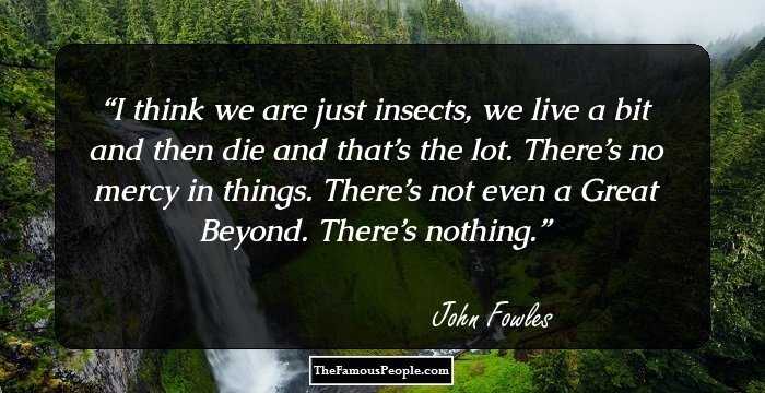 I think we are just insects, we live a bit and then die and that’s the lot. There’s no mercy in things. There’s not even a Great Beyond. There’s nothing.
