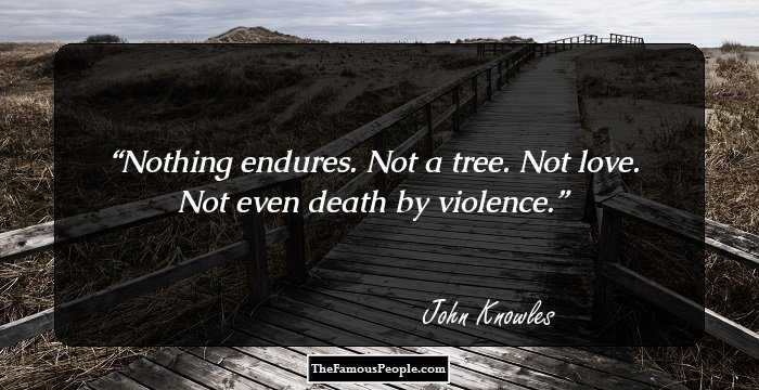 Nothing endures. Not a tree. Not love. Not even death by violence.