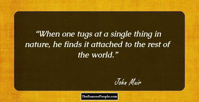 24 Motivational John Muir Quotes For Alpinists, Wanderers And Nature Lovers